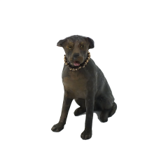 Minyatür Köpek 1.18 ölçek