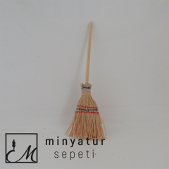 Minyatür Çalı Süpürgesi
