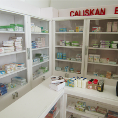 Minyatür Eczane