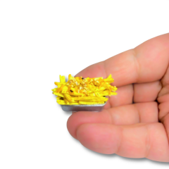 Minyatür Kızarmış Patates